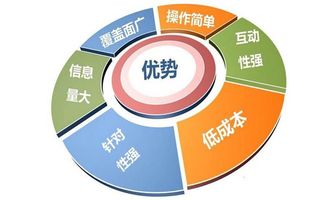 鄭州網(wǎng)絡(luò)推廣與互聯(lián)網(wǎng)信息服務(wù)的優(yōu)勢(shì)分析